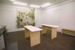 Jardin de papier / Charlotte Bricualt